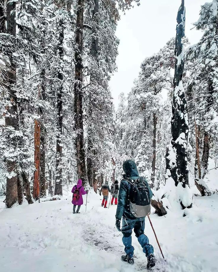 Kedarkantha Summit Trek & Return